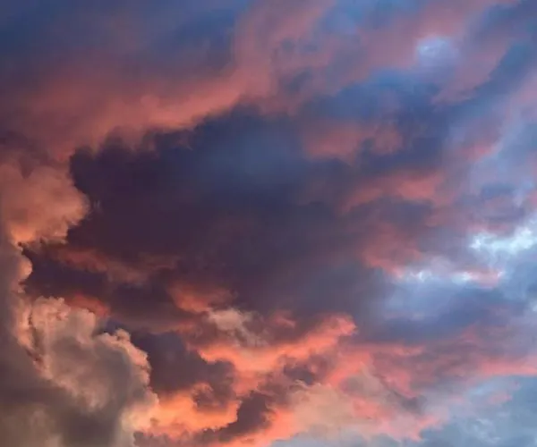 Foss - Luxe Boutique Boshuis Veluwe * נונספייט