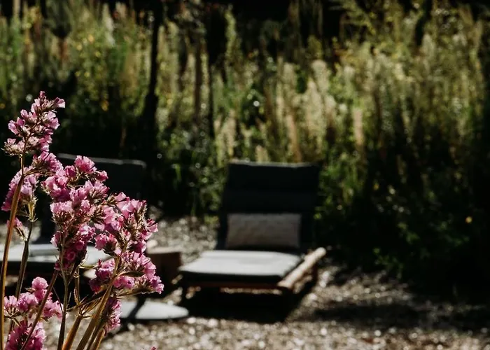 Foss - Luxe Boutique Boshuis Veluwe Nunspeet