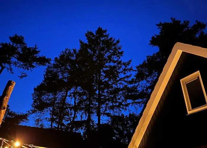 Foss - Luxe Boutique Boshuis Veluwe * Nunspeet